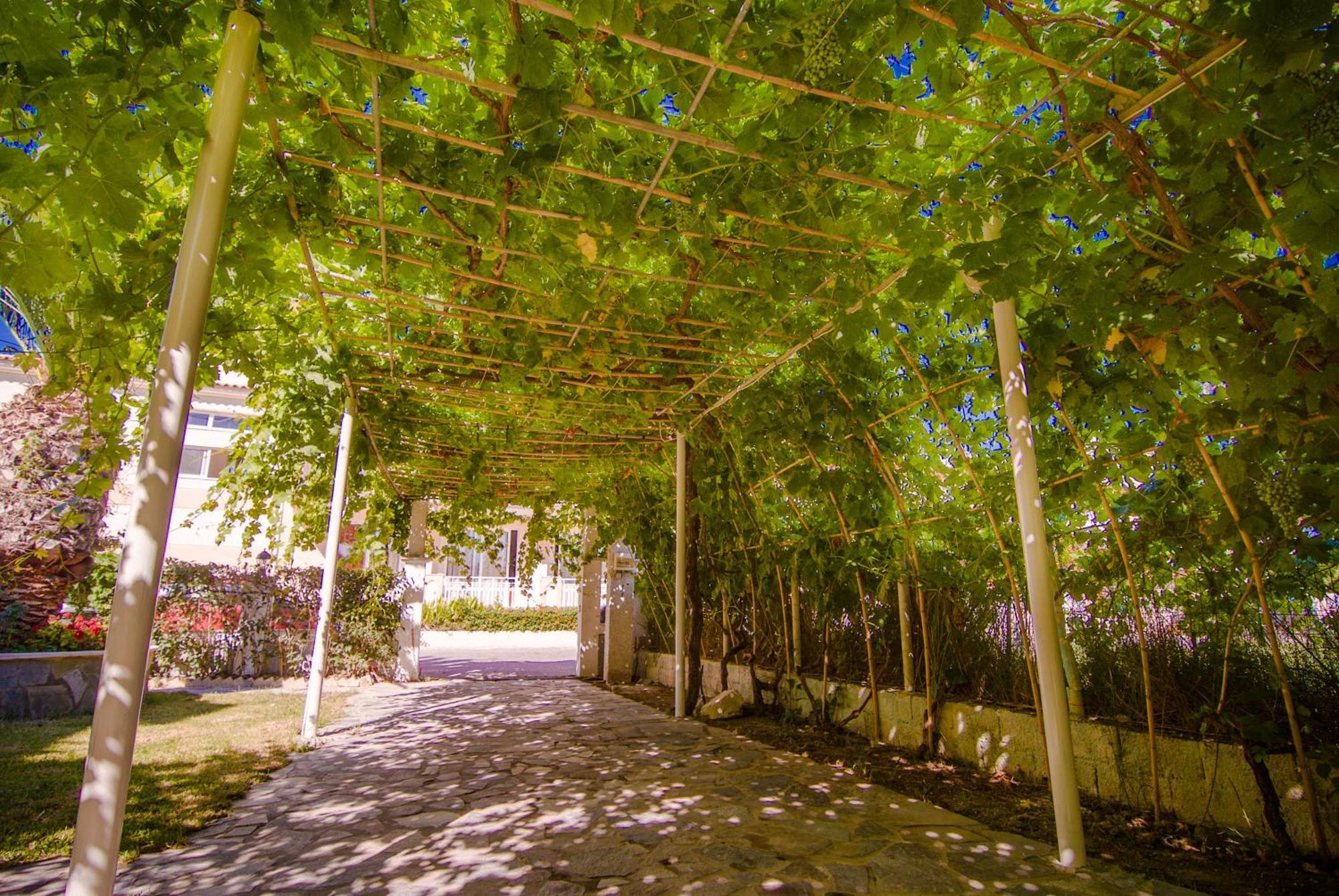 Sea Side Studios Tsilivi  Ngoại thất bức ảnh